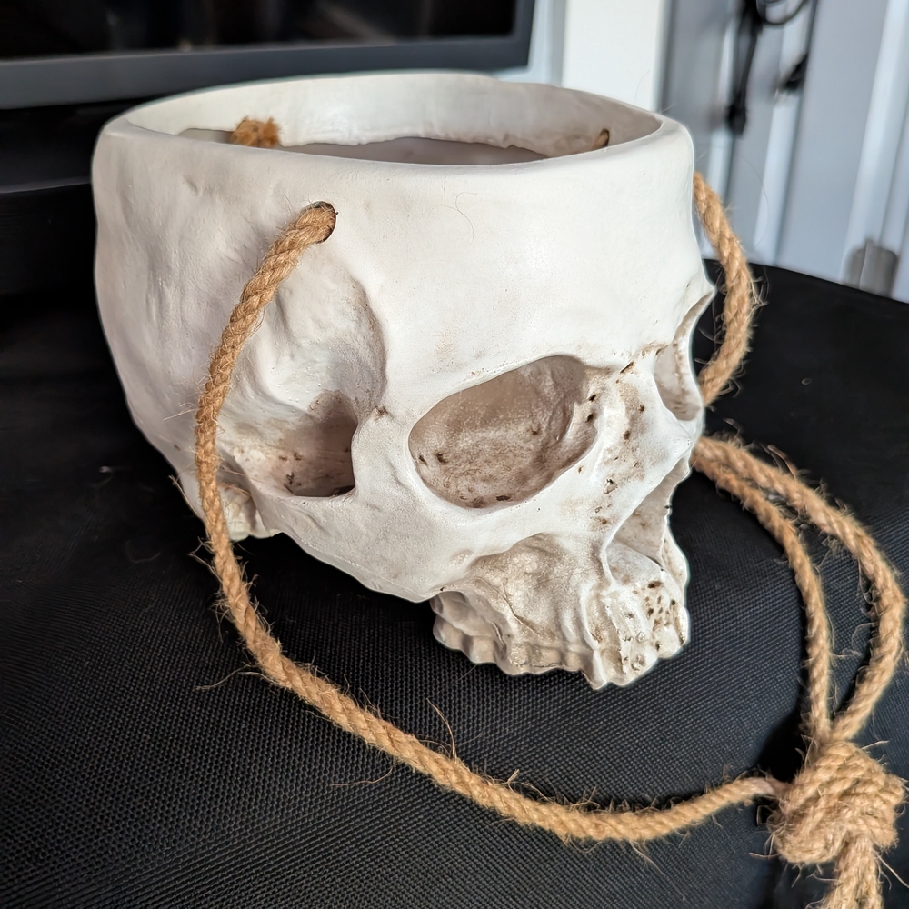 Hanging Skull Planter - Large - Picture 3 of 8